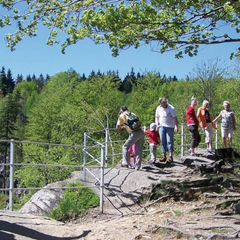 Eine Wanderung auf dem Katzenstein.