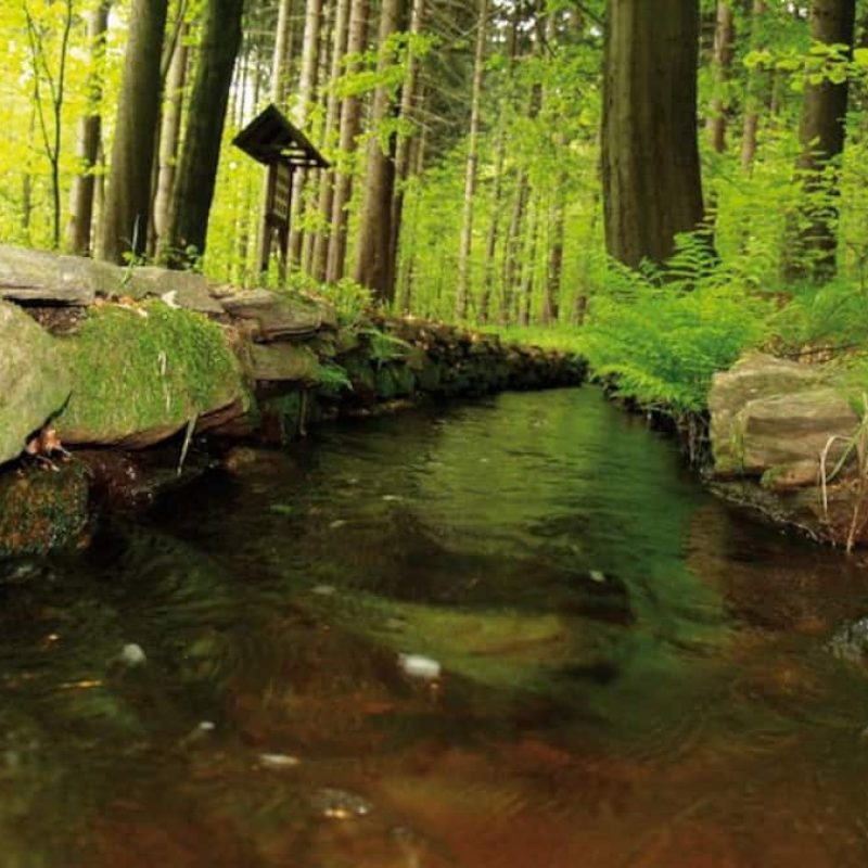 Wandern am „grünen Graben".
