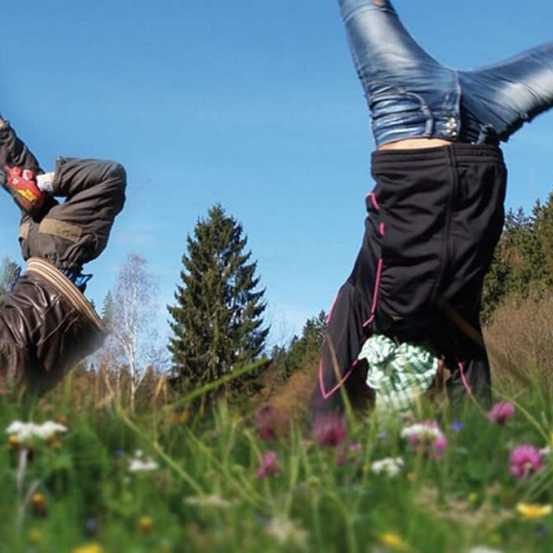 Herrliche Bergwiesen zum Herumtollen.