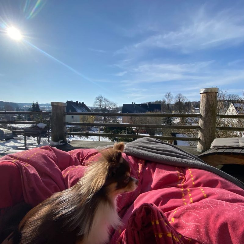 Winterchillen auf der grossen Terrasse.