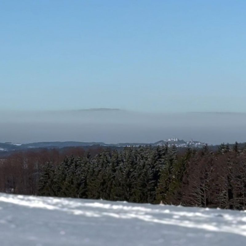 Blick auf die Augustusburg