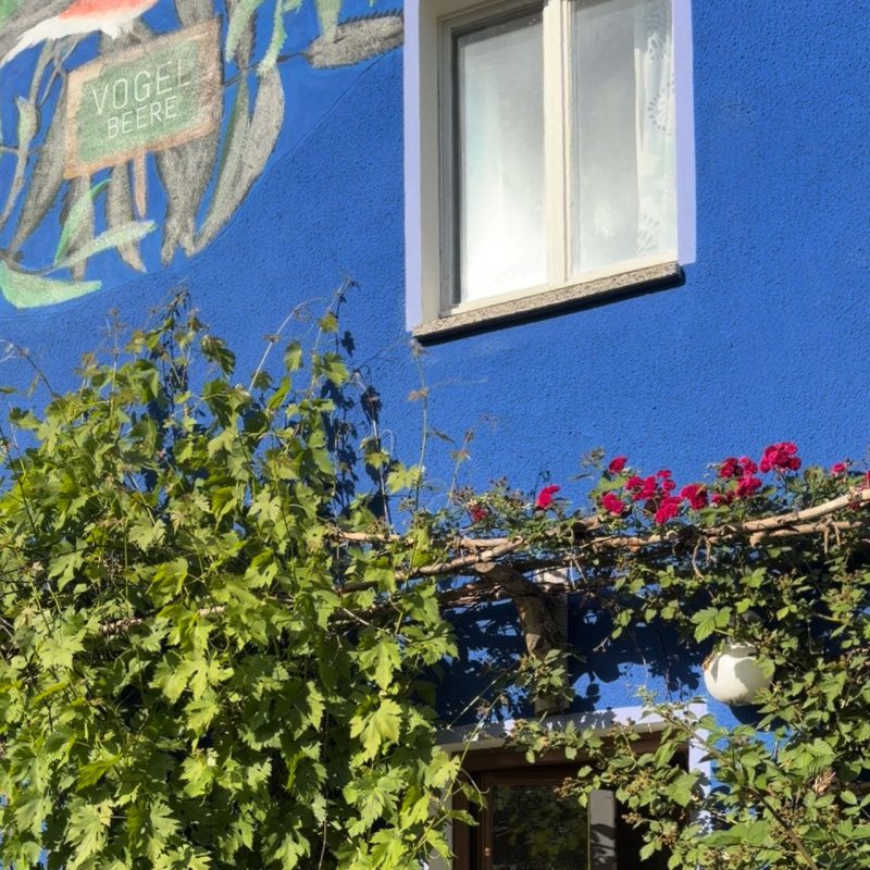 biker-urlaub-land-5
