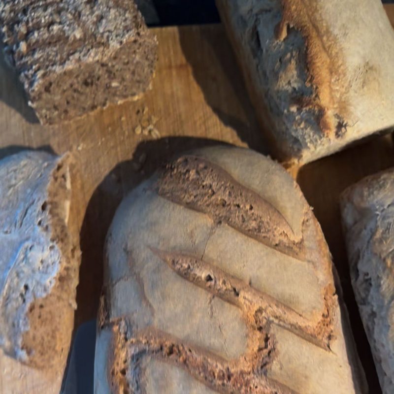 brotbacken-urlaub-land