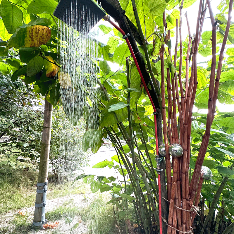 dusche-natur-wasser-blatt