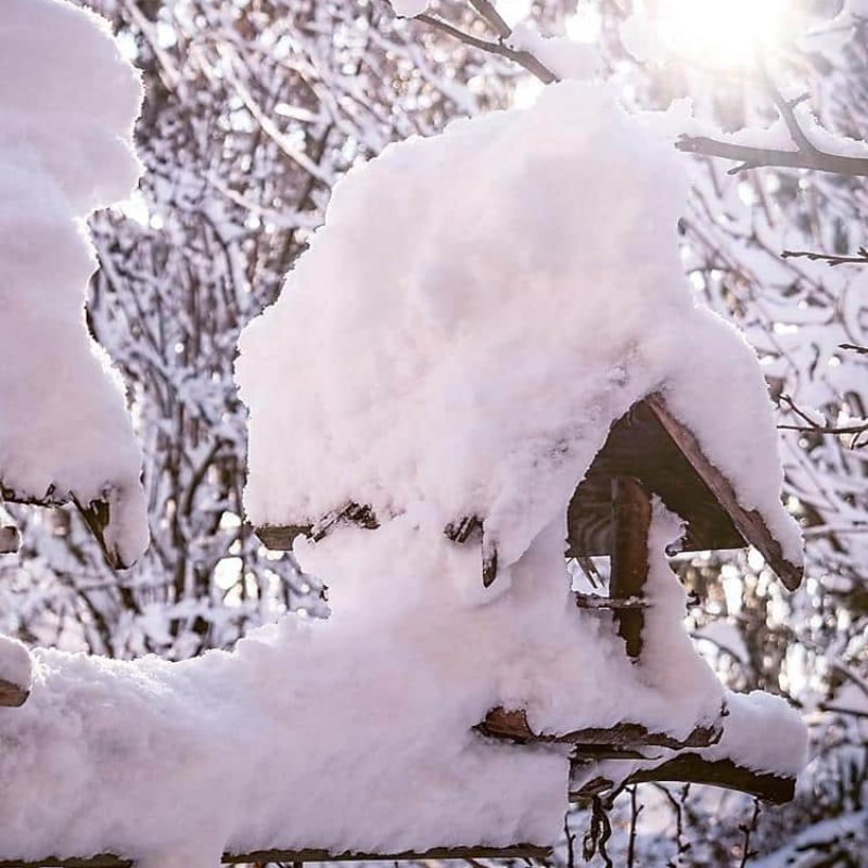 garten-im-winter-erzgebirge-vogelhaus