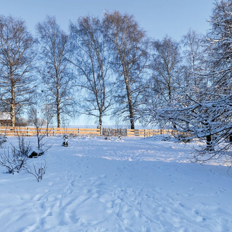 Weitläufiger Garten bietet im Winter eine große Spielfläche.