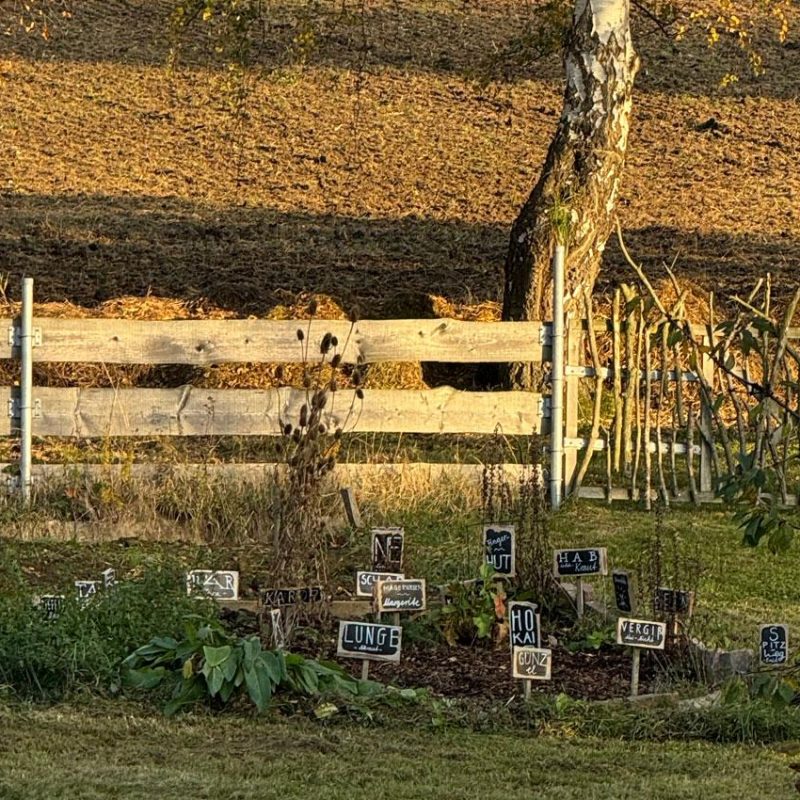 Kräutergarten