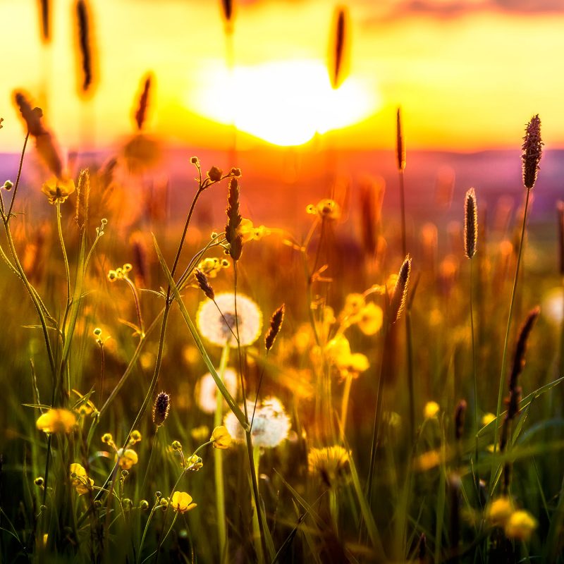 Genieße den Sonnenuntergang mit herrlichen Ausblick.
