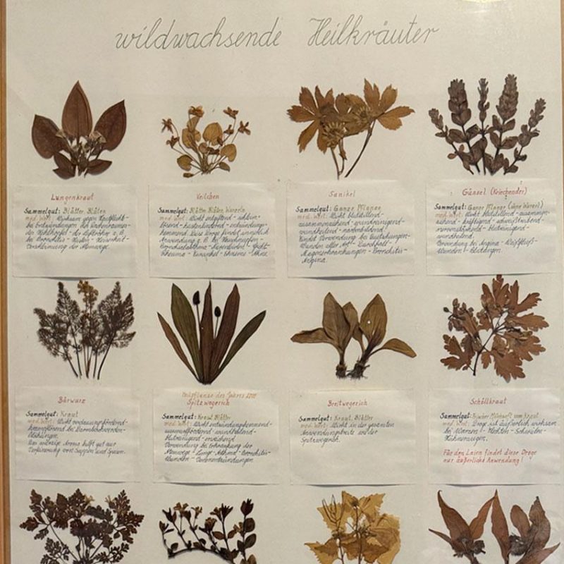 Heilkräuter-Ausstellung im Kräuterhaus