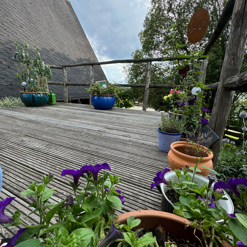 terasse-pflanzen-dach