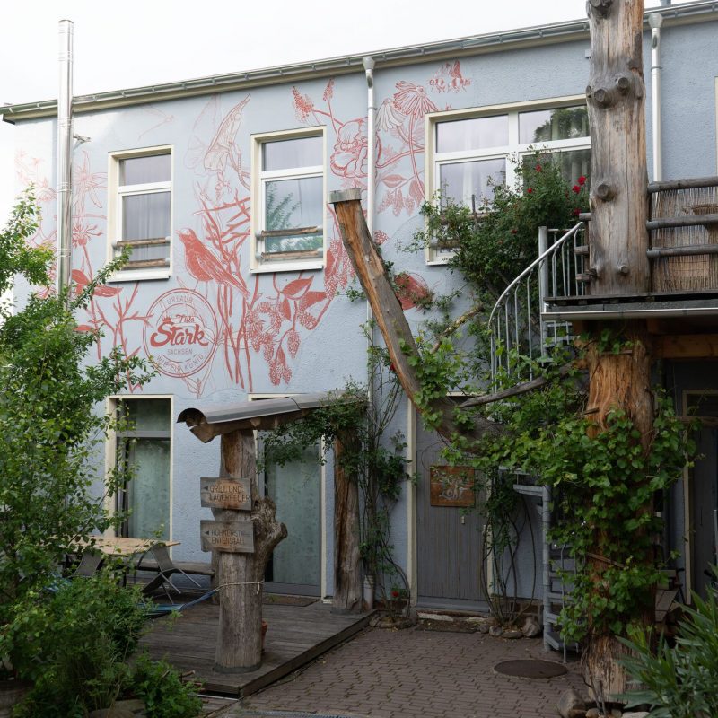 villa-stark-fassade-wandbemalung-garten-pool